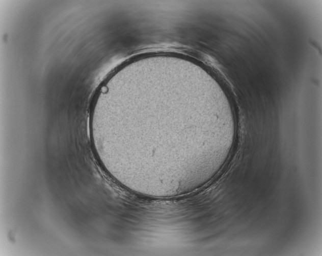 X0000102401320200808221839