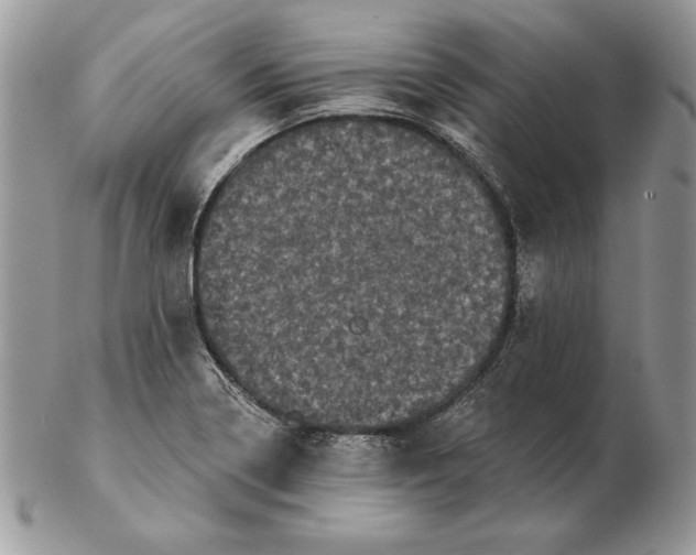 X0000102401322200808221839