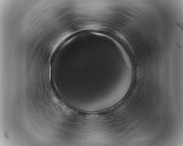 X0000102401323200808221839