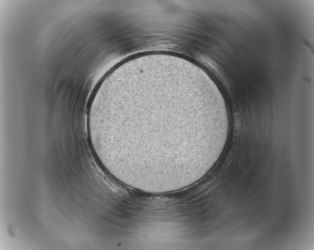 X0000102401324200808221839