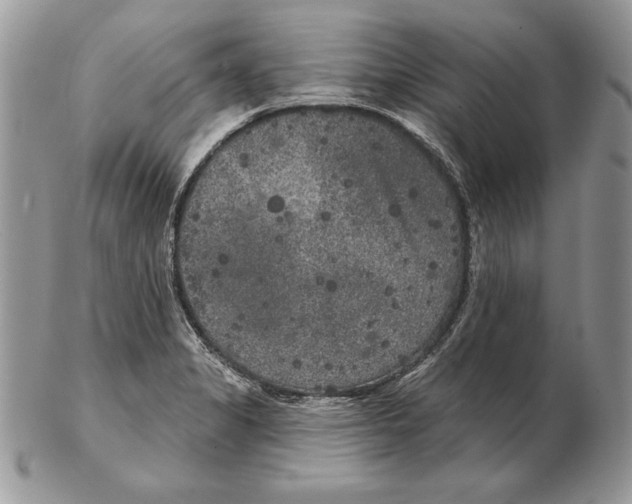 X0000102401325200808221839