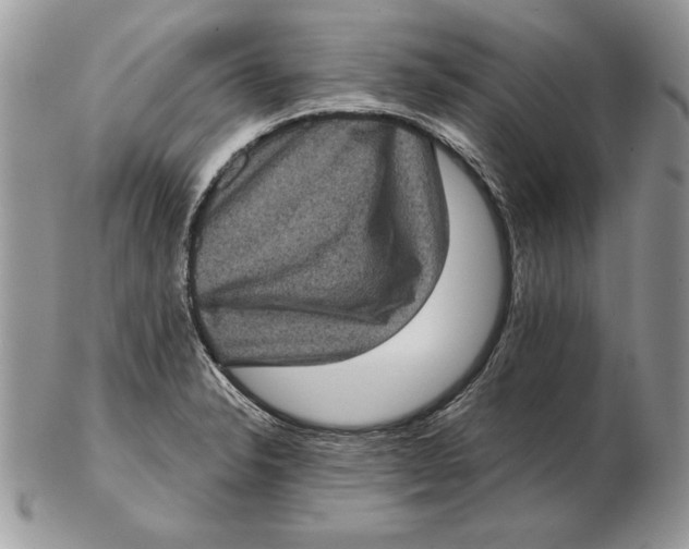 X0000102401326200808221839