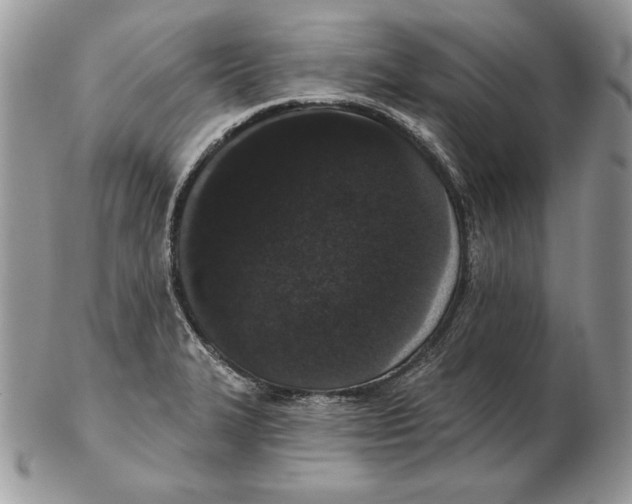 X0000102401327200808221839