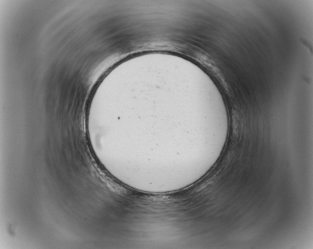 X0000102401328200808221839