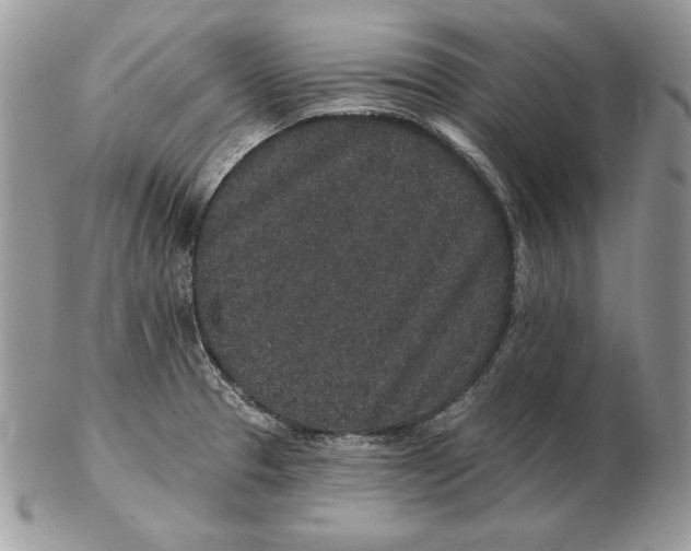 X0000102401329200808221839