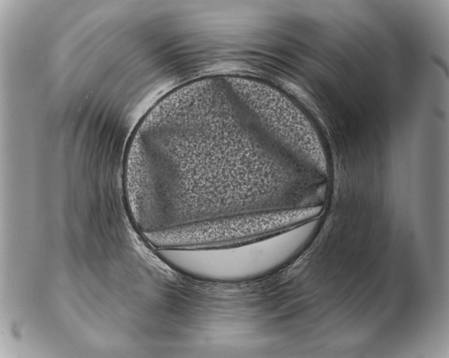 X0000102401330200808221839