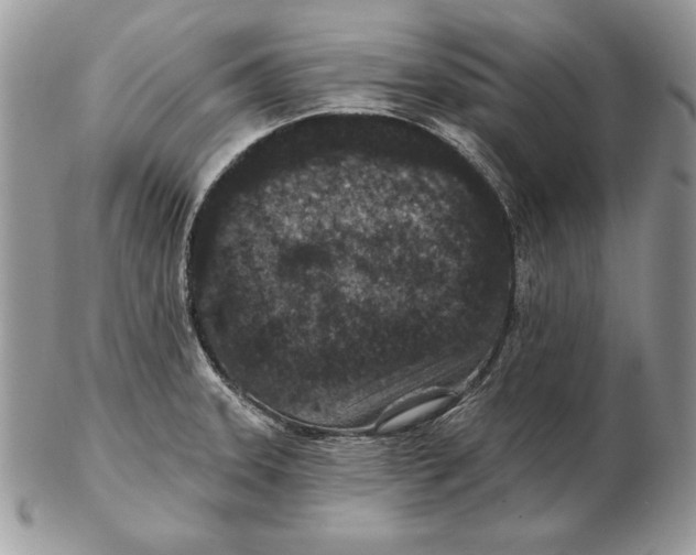 X0000102401331200808221839