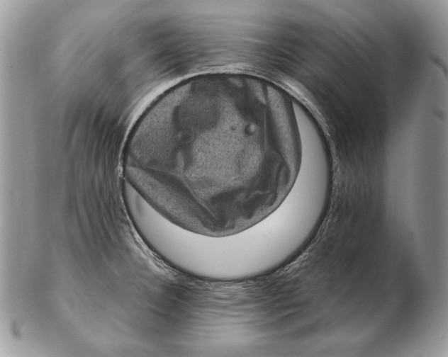 X0000102401332200808221839