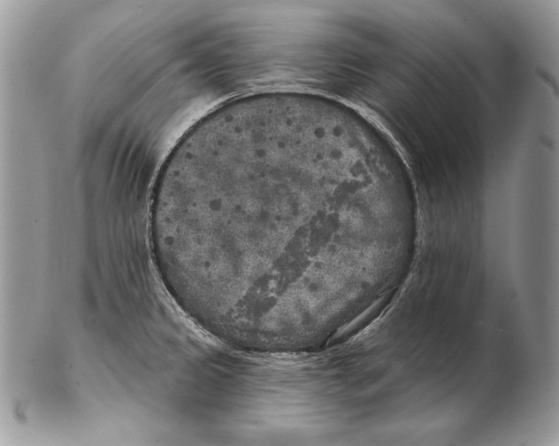 X0000102401333200808221839