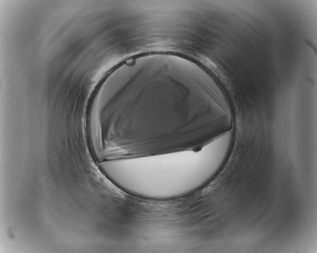 X0000102401334200808221839