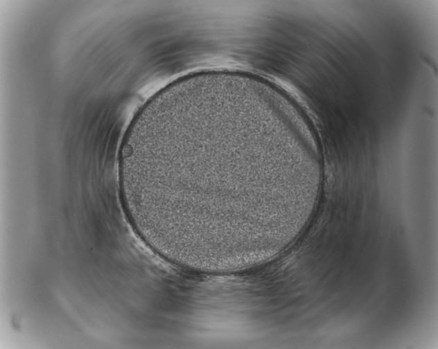 X0000102401335200808221839