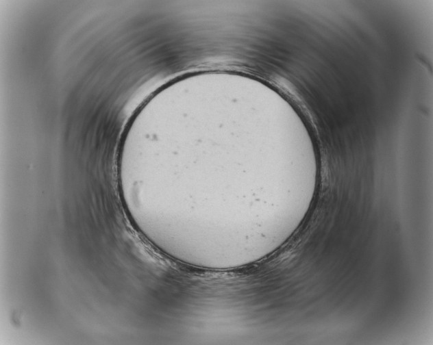 X0000102401336200808221839