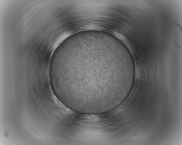 X0000102401338200808221839