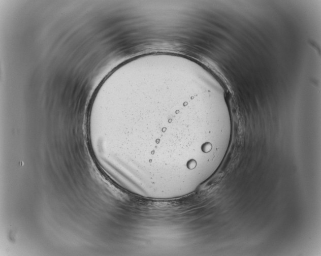 X0000102401339200808221839