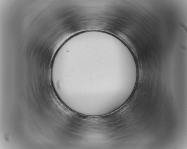 X0000102401340200808221839