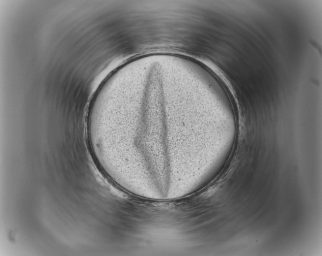 X0000102401341200808221839