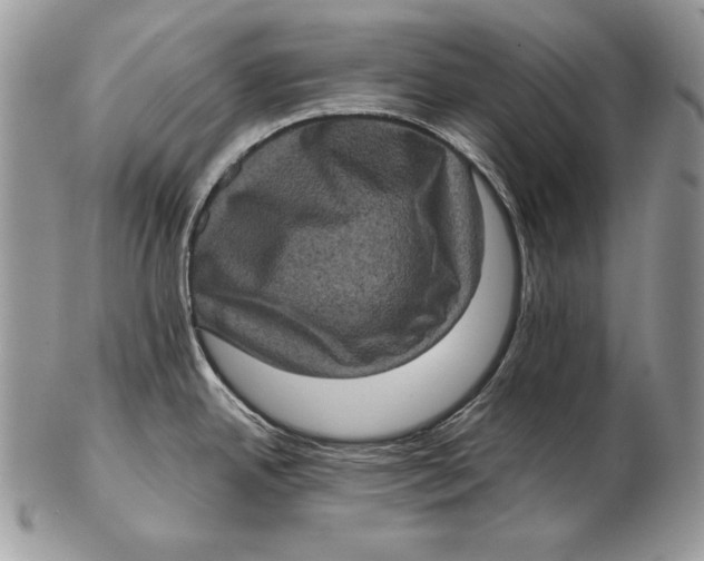 X0000102401342200808221839