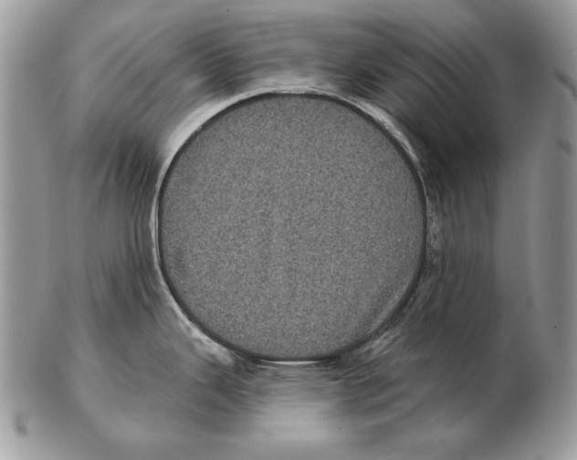 X0000102401343200808221839