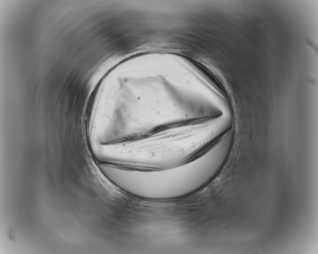 X0000102401344200808221839