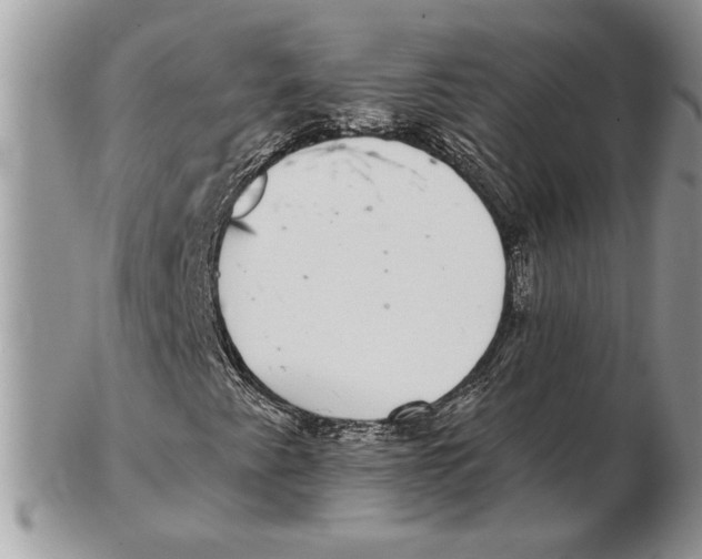 X0000102401345200808221838