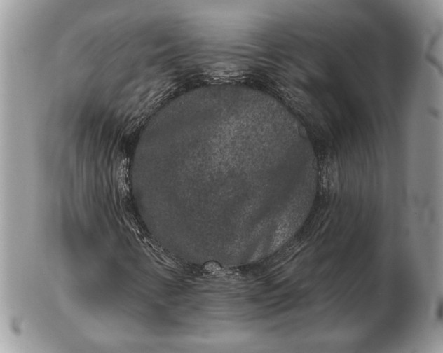 X0000102401346200808221838