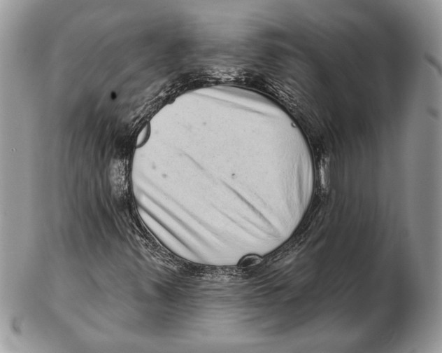 X0000102401347200808221838