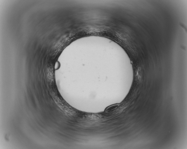 X0000102401348200808221838