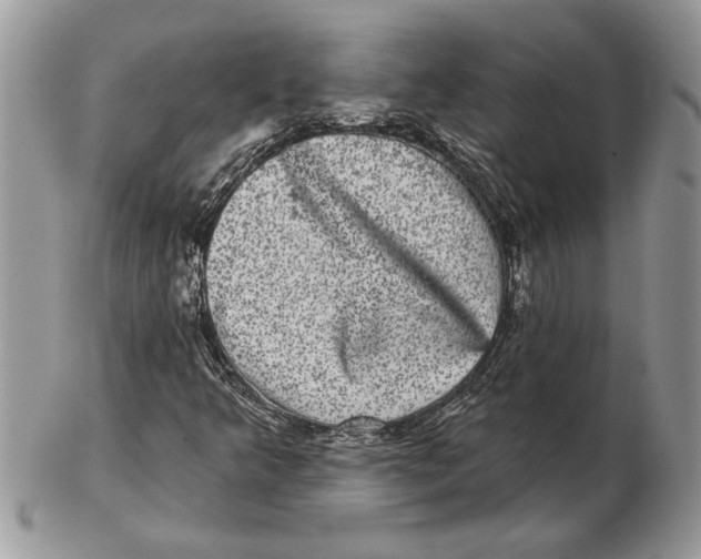 X0000102401349200808221838