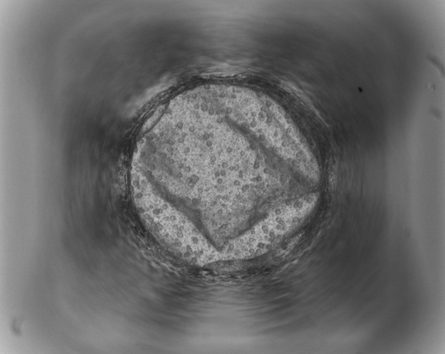 X0000102401350200808221838