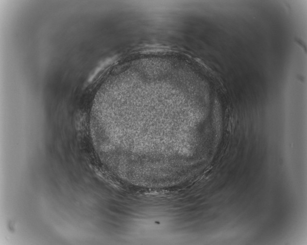 X0000102401351200808221838