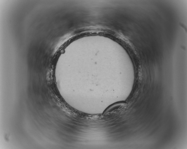 X0000102401352200808221838