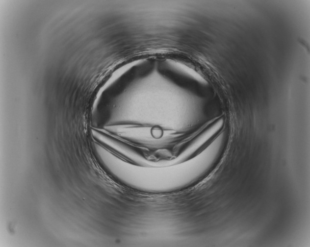 X0000102401353200808221838