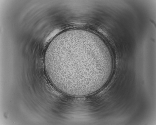 X0000102401354200808221838