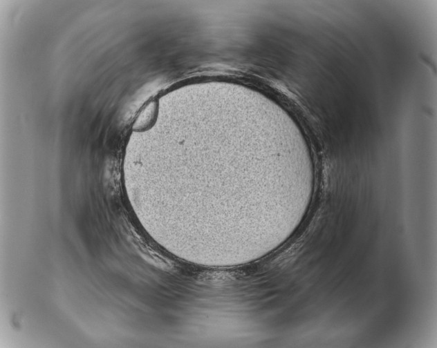 X0000102401355200808221838