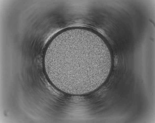 X0000102401356200808221838