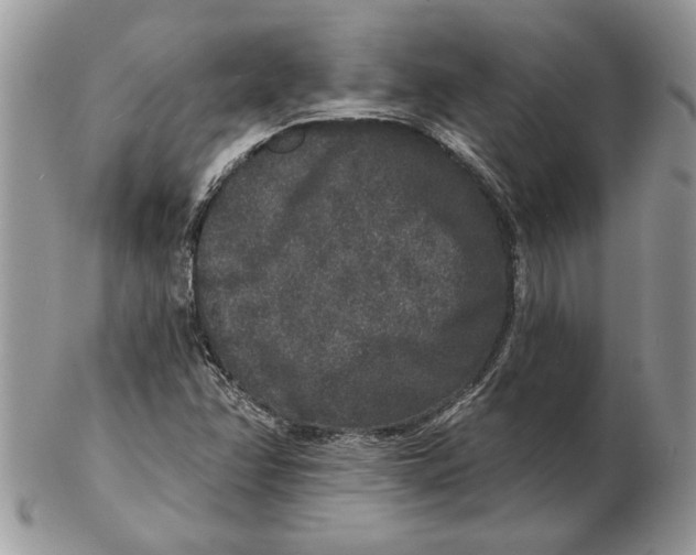 X0000102401358200808221838