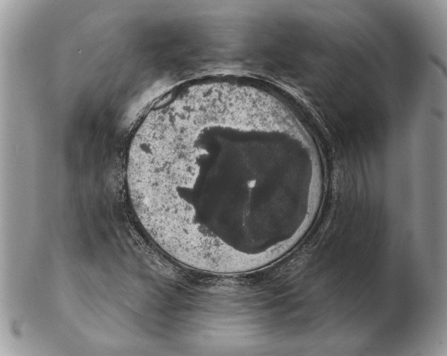 X0000102401359200808221838