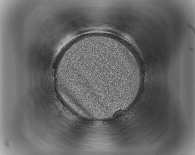 X0000102401360200808221838