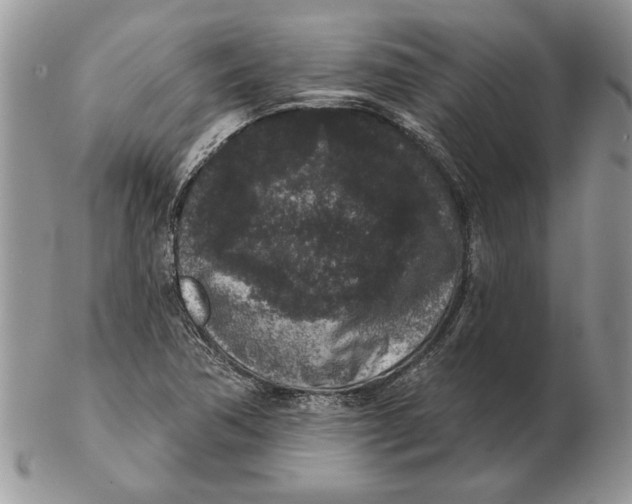 X0000102401362200808221838