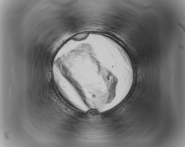 X0000102401363200808221838