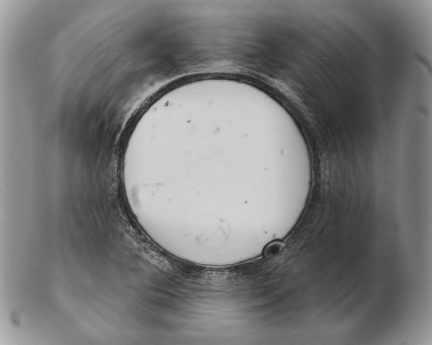 X0000102401364200808221838