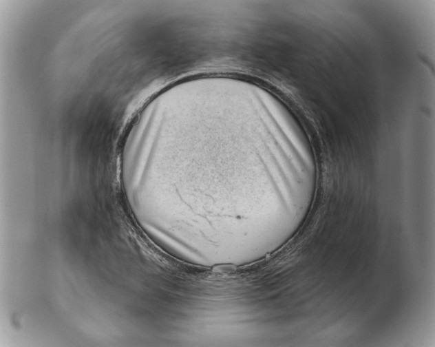 X0000102401366200808221838