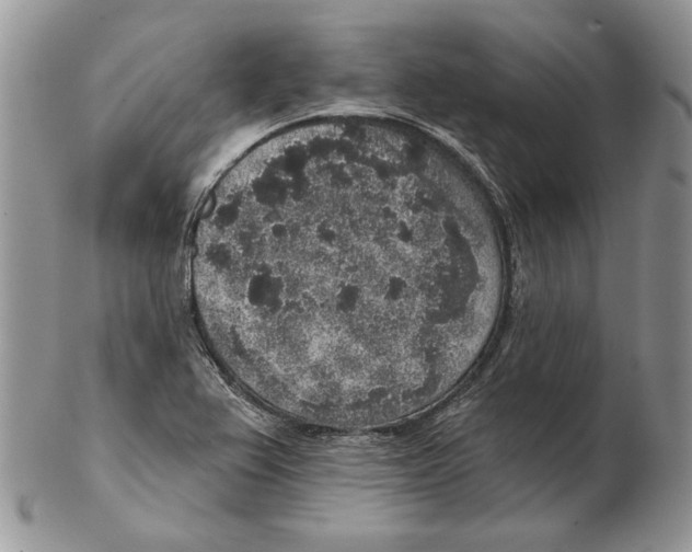 X0000102401367200808221838