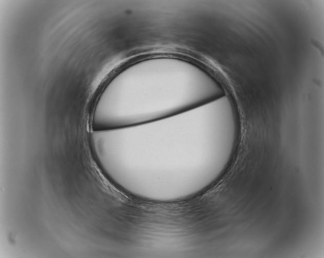 X0000102401368200808221838