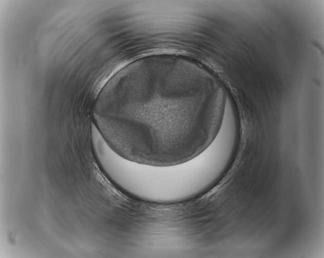 X0000102401369200808221838