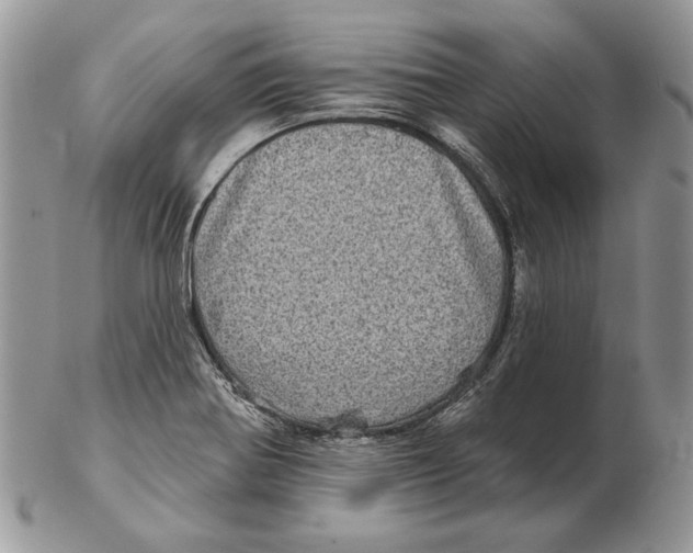 X0000102401370200808221838