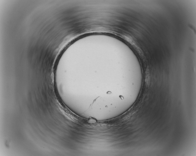 X0000102401372200808221838