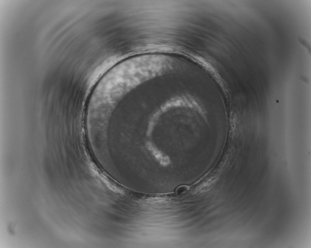 X0000102401373200808221838