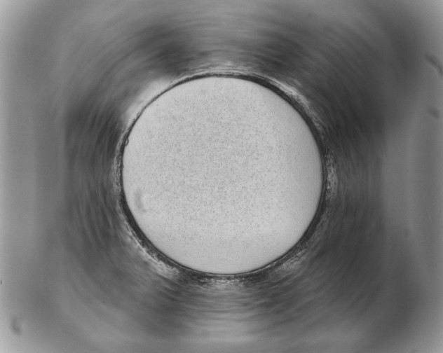 X0000102401375200808221838