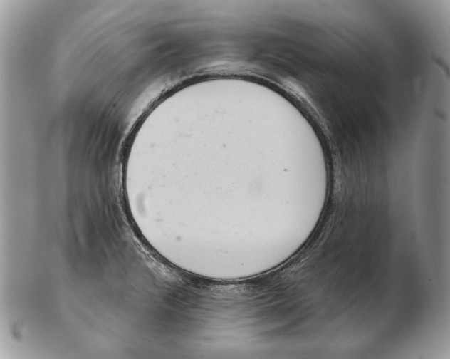 X0000102401376200808221838